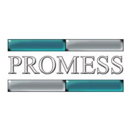 Promess-Inc__92811-2