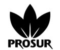 Prosur
