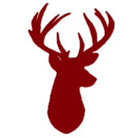 Rawhide-Guide-Service__78192-2