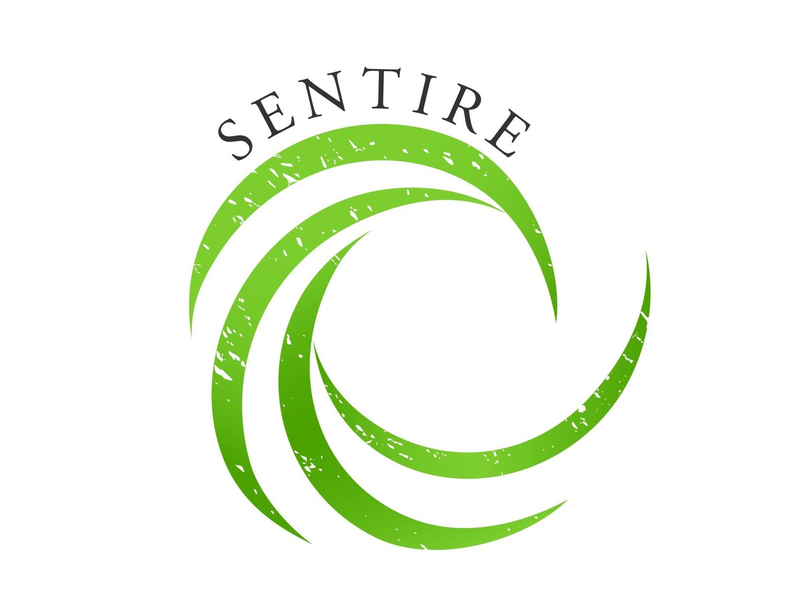 Sentire-Ltda-Puerto-Varas-scaled