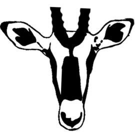 Shona-Hunting-Adventures__80840-2