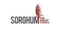 Sorghum-Checkoff__81583-2