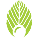 SoyaMaya Protein Tempeh Chips