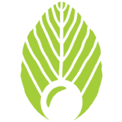 SoyaMaya-Protein-Tempeh-Chips__81684-2