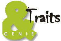 TRAITS-ET-GENIE-Villiers-Sur-Marne