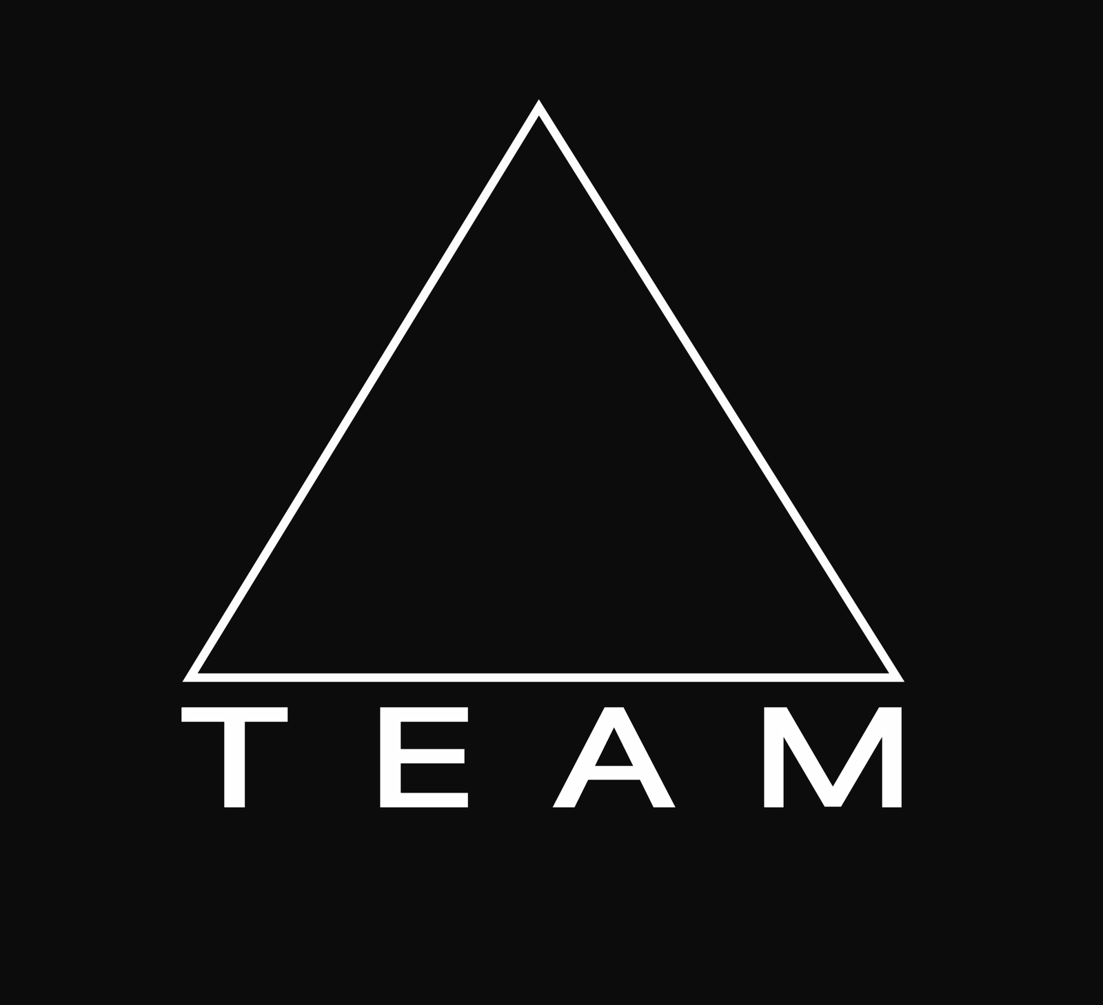 Team-Express-Ltda-Santiago-Chile-scaled