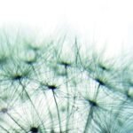 Totems Communication & Architecture GmbH