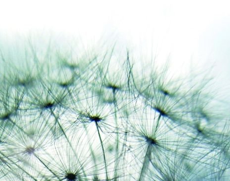 Totems-Communication-Architecture-GmbH-Dusseldorf