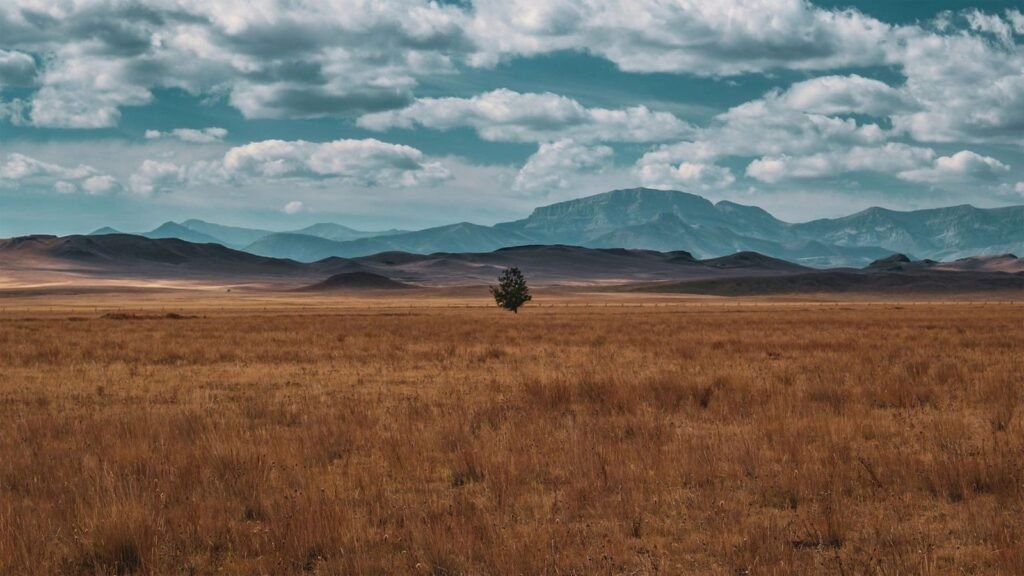 Trophies Plus Outfitters