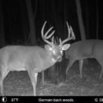 Trophy Room Adventures