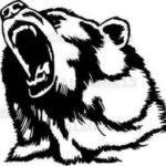 Two Bears Trading Co.