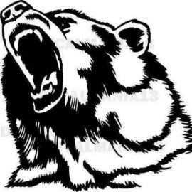 Two-Bears-Trading-Co__84179-2