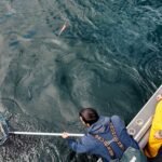 Waterfall Resort Alaska