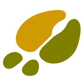 Weaknecht-Archery__85471-2