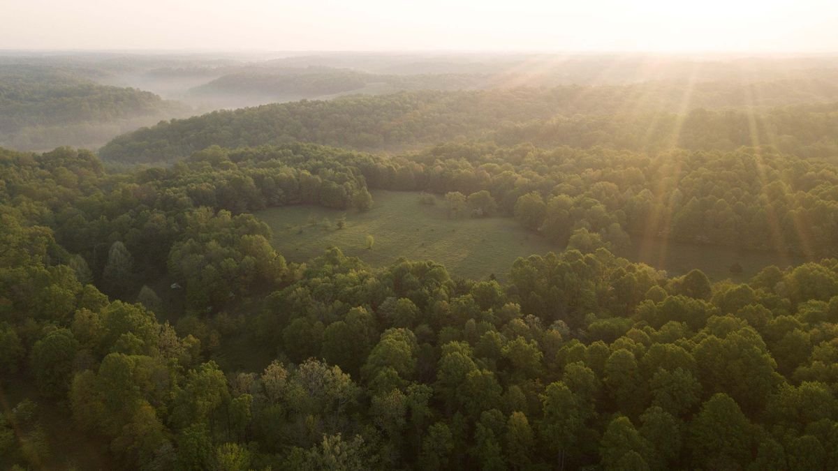 Whitetail-Properties__85719 Whitetail-Properties__85719