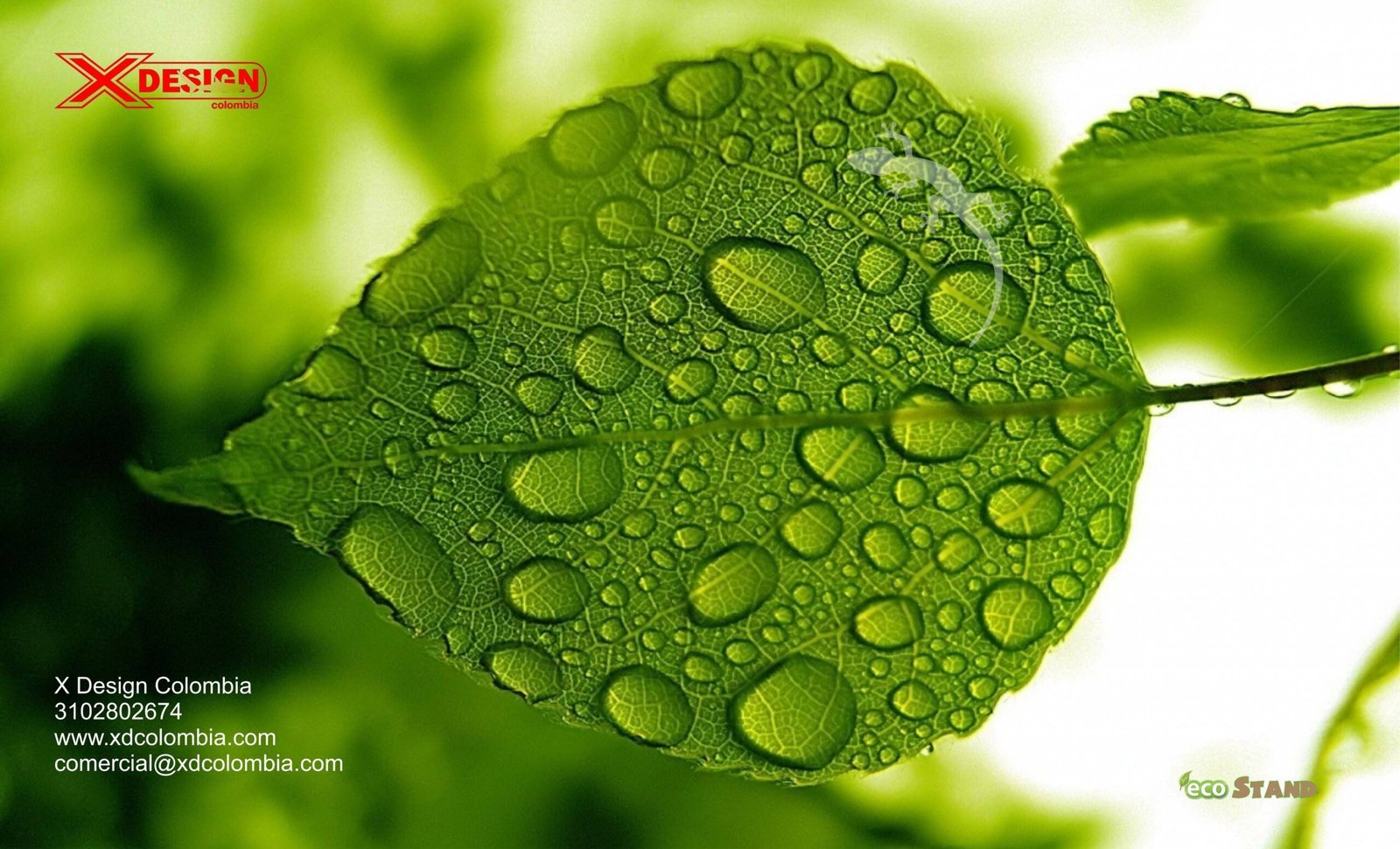 X-Design-Colombia-Bogota-scaled