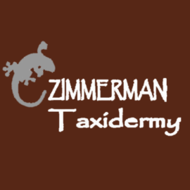 Zimmerman-Taxidermy__86773-2