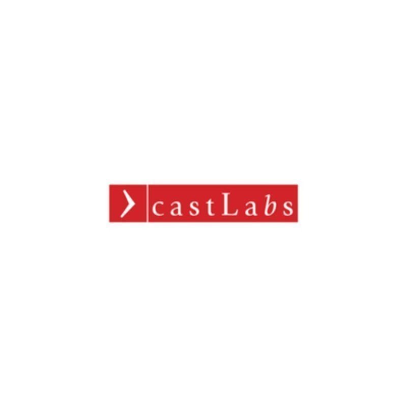 castLabs-Inc__88156-2